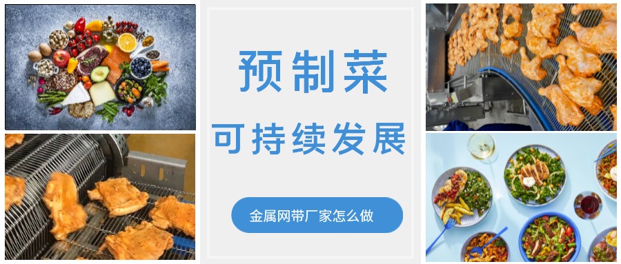 金屬輸送網帶的領頭企業，預制菜的可持續發展中能做什么？